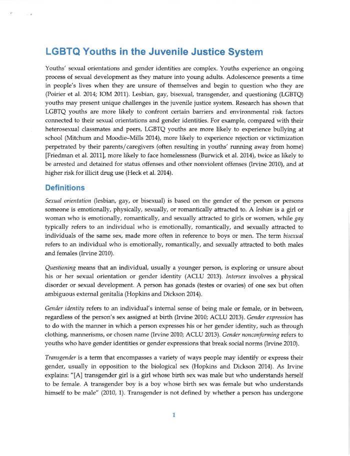 LGBTQ Youths in the Juvenile Justice System